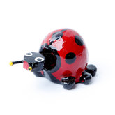 wiebelbeestje lieveheersbeestje